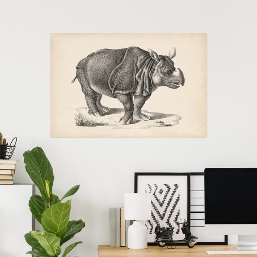 Brodtmann Rhinoceros Sketch Poster (Heimbüro)