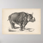 Brodtmann Rhinoceros Sketch Poster (Vorne)