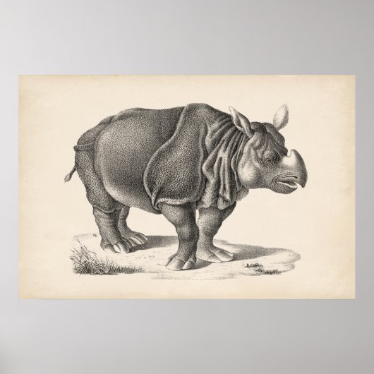 Brodtmann Rhinoceros Sketch Poster (Vorne)