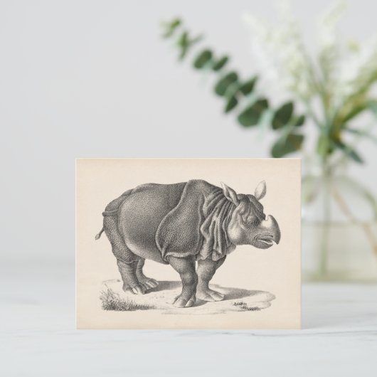 Brodtmann Rhinoceros Sketch Postkarte (Stehend Vorderseite)