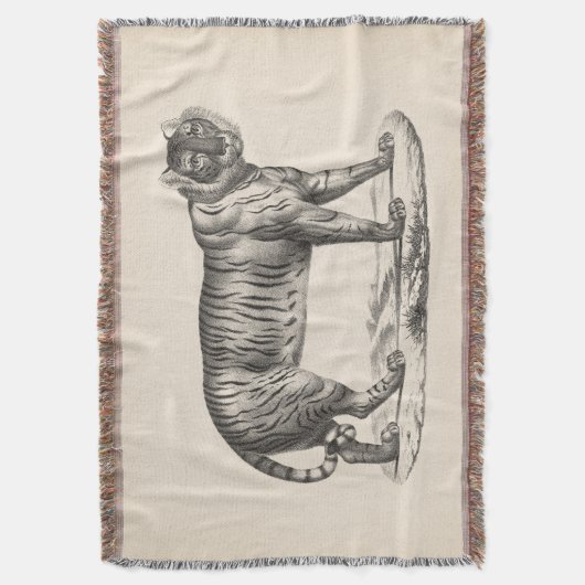 Brodtmann Tiger Sketch Decke (Vorderseite Vertikal)