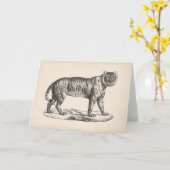 Brodtmann Tiger Sketch Karte (Gelbe Blume)