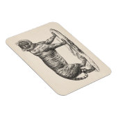 Brodtmann Tiger Sketch Magnet (Rechte Seite)