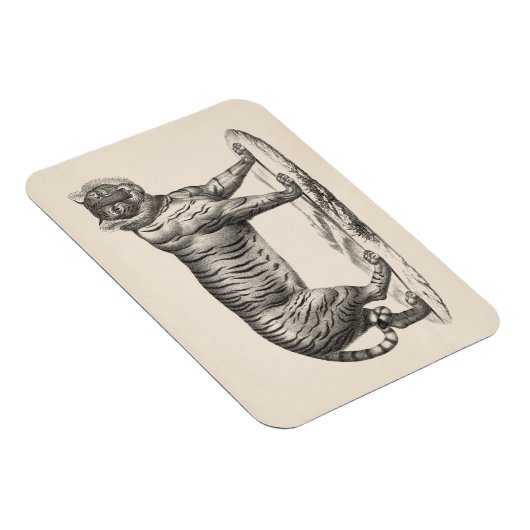 Brodtmann Tiger Sketch Magnet (Rechte Seite)