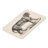 Brodtmann Tiger Sketch Magnet (Linke Seite)