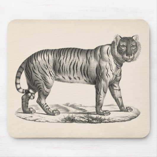 Brodtmann Tiger Sketch Mousepad (Vorne)