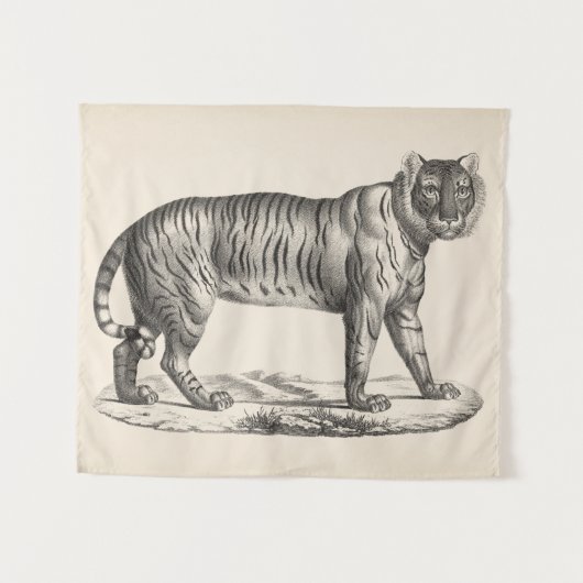 Brodtmann Tiger Sketch Wandteppich (Vorderseite (Horizontal))