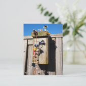 Broedkast vogelhuisje dat beklommen fubby's postkarte (Stehend Vorderseite)