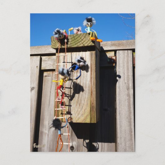 Broedkast vogelhuisje dat beklommen fubby's postkarte (Vorderseite)