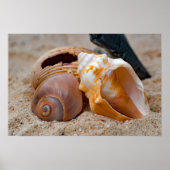 Broken Beach Beauties #2 Poster (Vorne)