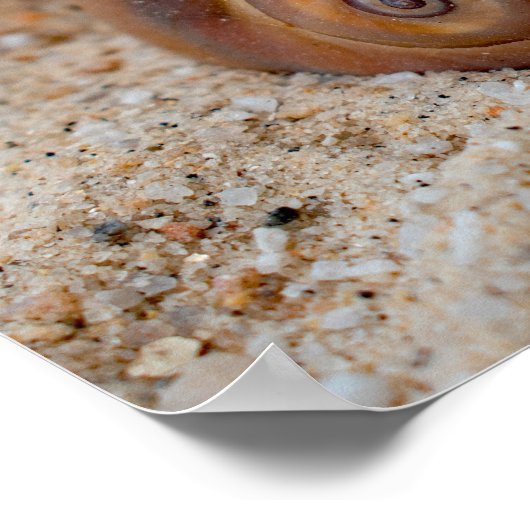 Broken Beach Beauties #2 Poster (Ecke)