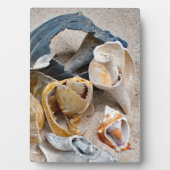 Broken Beach Beauties Fotoplatte (Vorderseite)