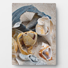 Broken Beach Beauties Fotoplatte