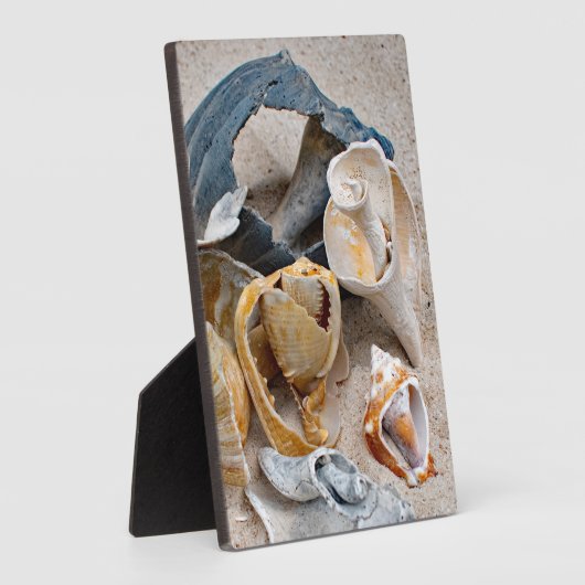 Broken Beach Beauties Fotoplatte (Seite)