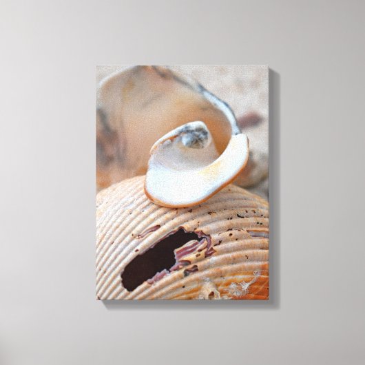 Broken Beauties Leinwanddruck (Vorderseite)