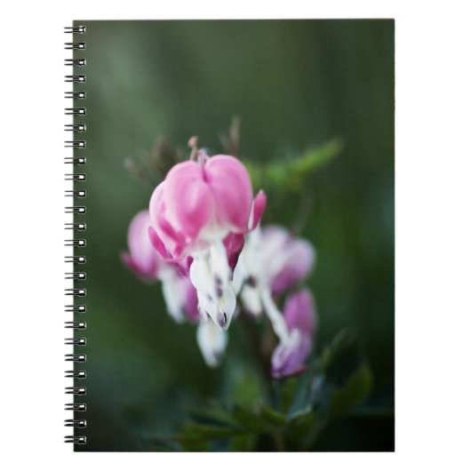 Broken Hearts Line Up Notebook Notizblock (Vorderseite)