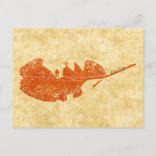 "Broken Leaf #1" Landstraßen Postkarte