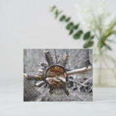 Broken Pine Postkarte (Stehend Vorderseite)
