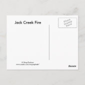 Broken Pine Postkarte (Rückseite)