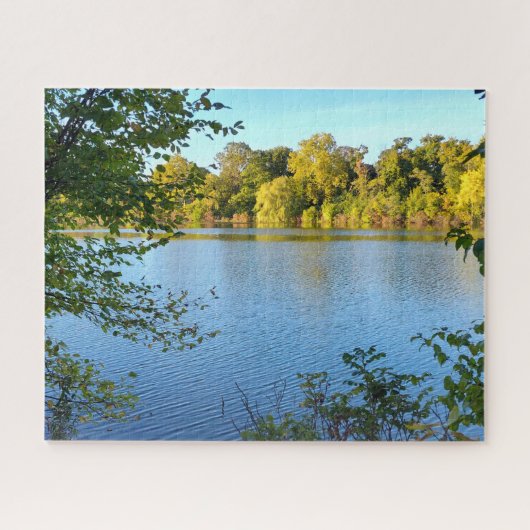 Broken Ripples Puzzle (Horizontal)