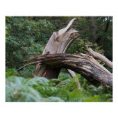 Broken Tree Poster (Vorderseite)