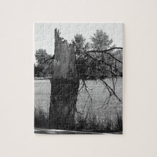 Broken Tree Puzzle