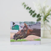 Broken Vow - Copelands Engel Colt Postkarte (Stehend Vorderseite)