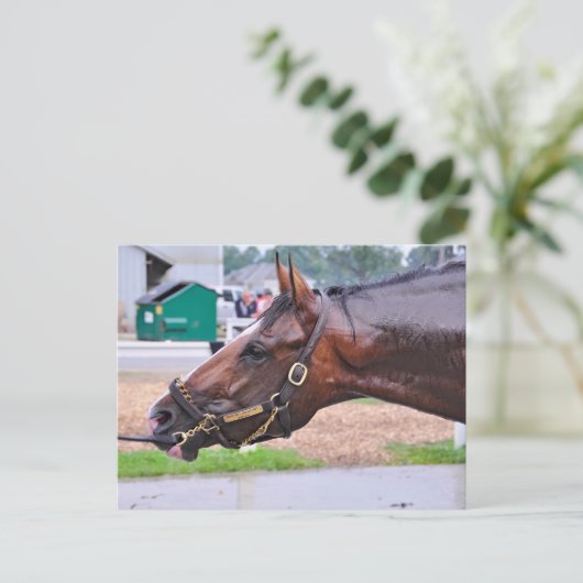 Broken Vow - Copelands Engel Colt Postkarte (Stehend Vorderseite)