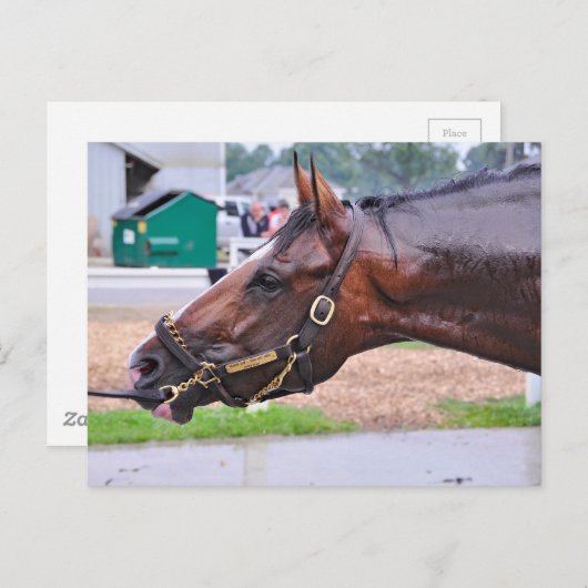 Broken Vow - Copelands Engel Colt Postkarte (Vorne/Hinten)