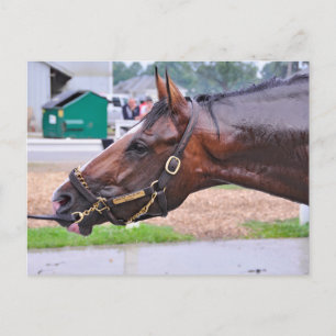 Broken Vow - Copelands Engel Colt Postkarte