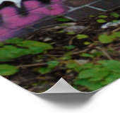 Broken Wing in Clearing Poster (Ecke)