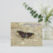 Broken Wing Potcard Postkarte (Stehend Vorderseite)