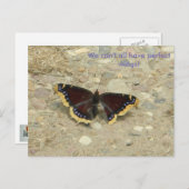 Broken Wing Potcard Postkarte (Vorne/Hinten)