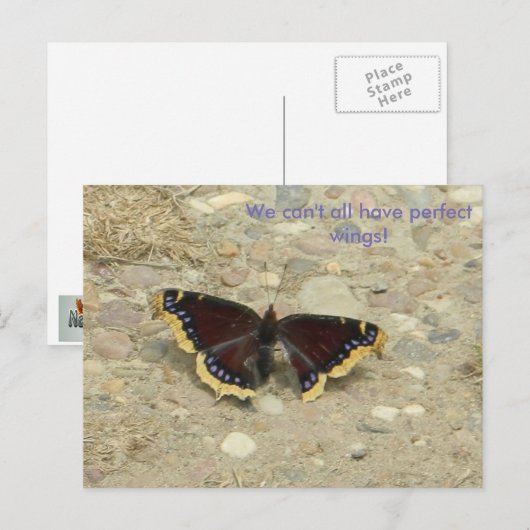 Broken Wing Potcard Postkarte (Vorne/Hinten)