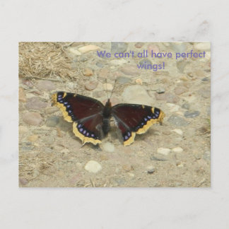 Broken Wing Potcard Postkarte
