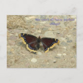 Broken Wing Potcard Postkarte (Vorderseite)