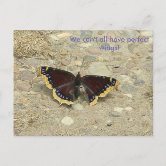 Broken Wing Potcard Postkarte (Vorderseite)