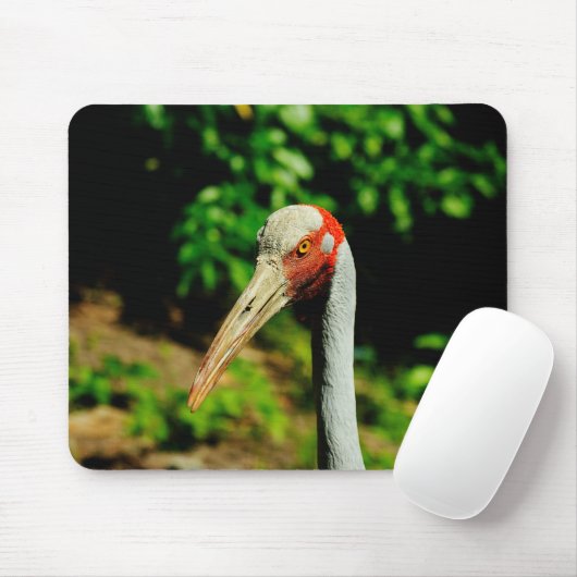Brolga Vogelporträt Mousepad (Mit Mouse)