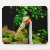 Brolga Vogelporträt Mousepad (Vorne)