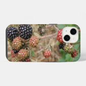 Brombeer Bonanza iPhone Hülle (Rückseite (Horizontal))