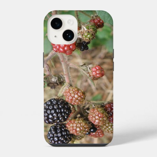 Brombeer Bonanza iPhone Hülle (Rückseite)