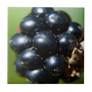 Brombeeren Fliese