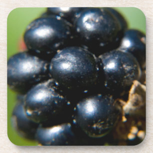 Brombeeren Getränkeuntersetzer