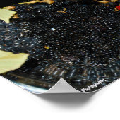 Brombeeren im Sieb Poster (Ecke)