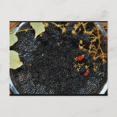 Brombeeren im Sieb Postkarte (Vorderseite)