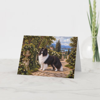 Brombeeren, Shetland-Schäferhund Karte