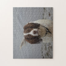 "Brombeerstrauch der Spaniel-" Laubsäge