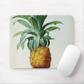 Bromelia-Ananas, von 'Les Bromeliacees Mousepad (Mit Mouse)