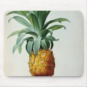 Bromelia-Ananas, von 'Les Bromeliacees Mousepad (Vorne)