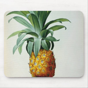 Bromelia-Ananas, von 'Les Bromeliacees Mousepad